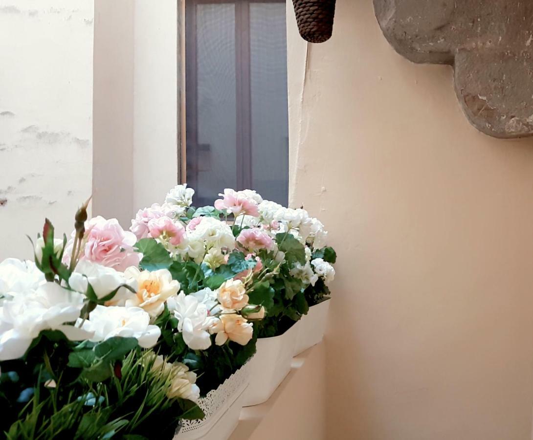 Velvet Loft - Santo Spirito Apartment Florence Luaran gambar